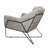 Recie Lounge Chair With Toughened Iron Frame-153846231