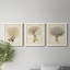 «Tincture I», ensemble de 3 peintures sur toile encadrées-202997363-202997372