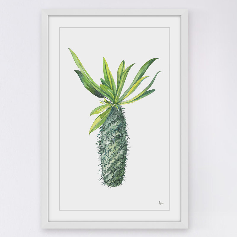 « spartacus cactus », reproduction de peinture à l’aquarelle encadrée, H 36 po x l 24 po x P 1,5 po