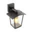 Nedjalko 23cm H Outdoor Wall Lantern