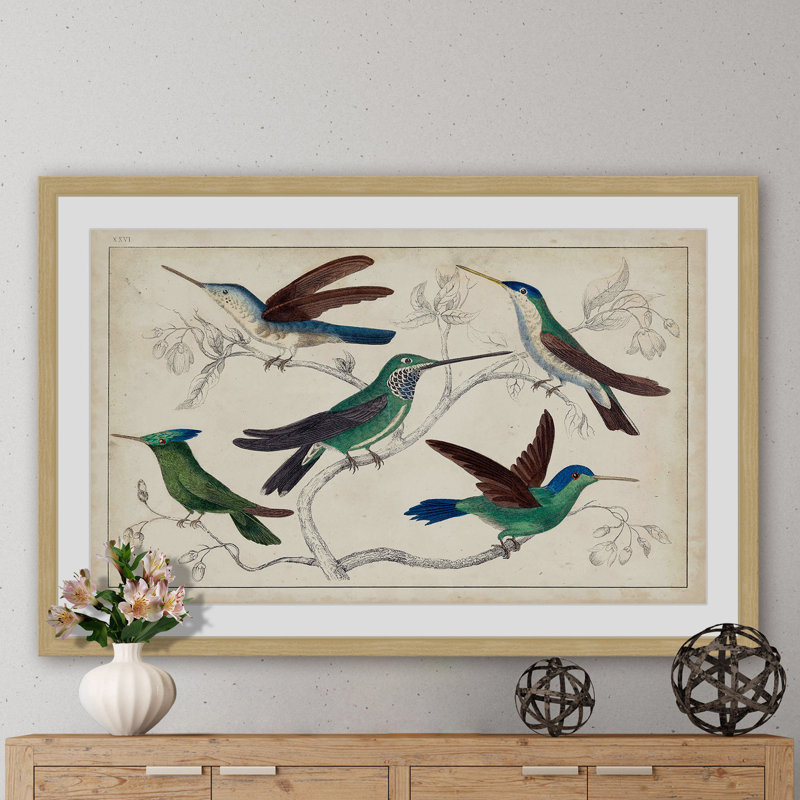 «Hummingbirds», reproduction encadrée, H 24 po x l 36 po x P 1,5 po