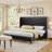 Belo Upholstered Platform Bed-435998058-426566455