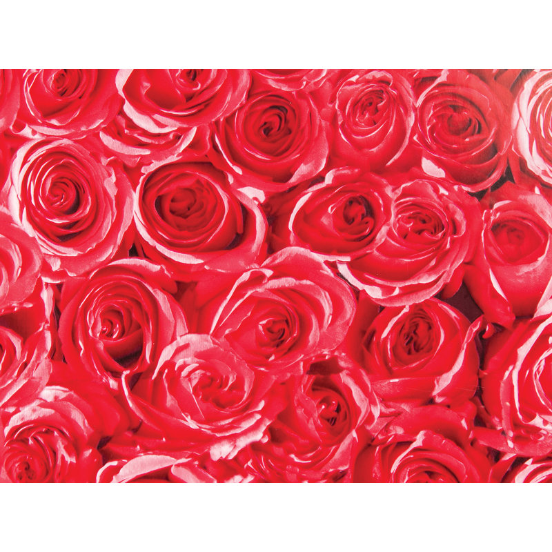 Adhésif décoratif pour fenêtre Roses, Rouge