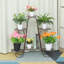 Metal Plant Stand-887342375