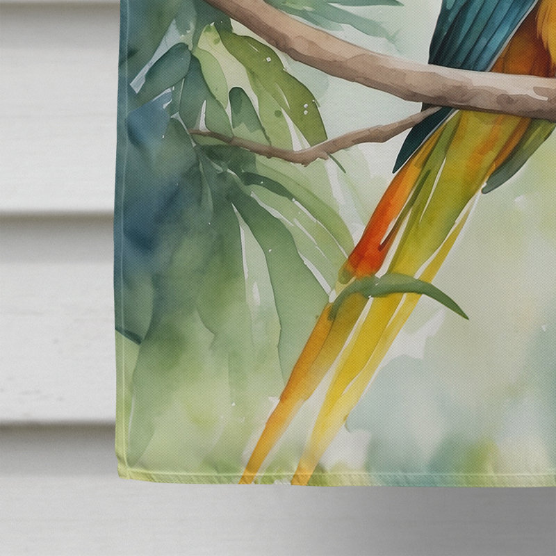 House Flag, Sun Conure