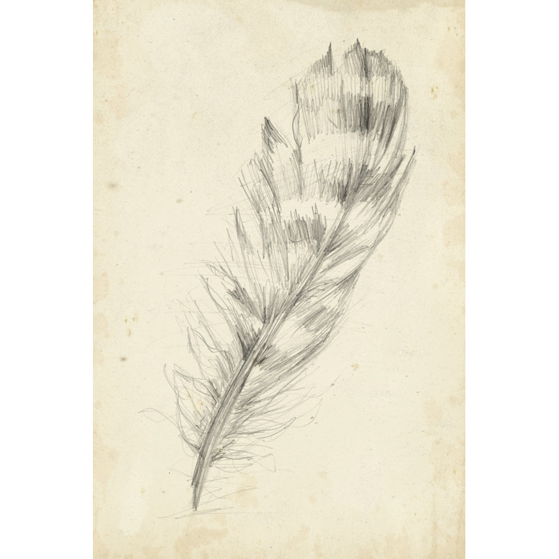 Feather Sketch II by Ethan Harper - Wrapped Canvas Art Prints, 46cm H x 30cm W