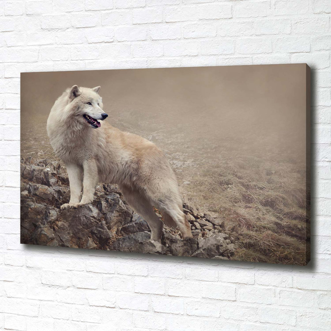 Weißer Wolf auf dem Felsen - Kunstdrucke auf Leinwand