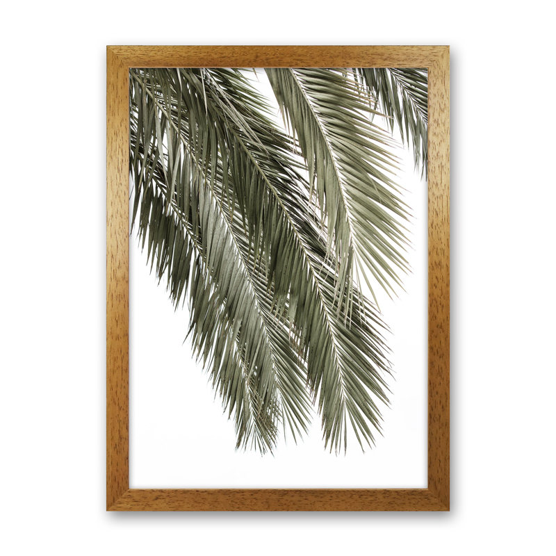 Palms by Victoria Frost - Print, 34cm H x 25cm W x 3cm D, Oak Framed
