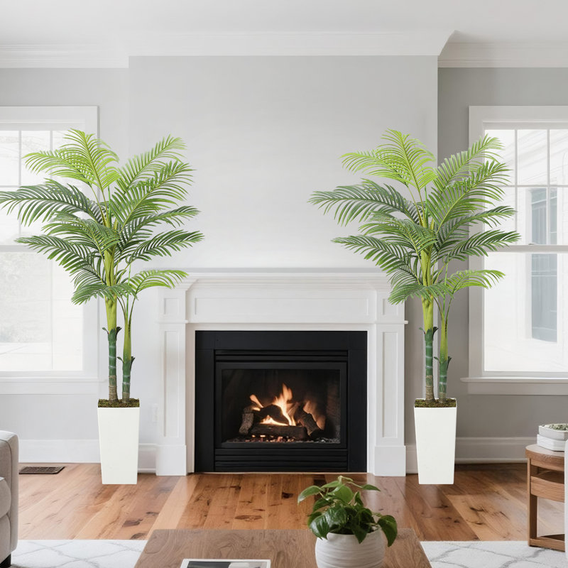 59.06cm Plant