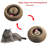 Ebtisaam Scratching Post