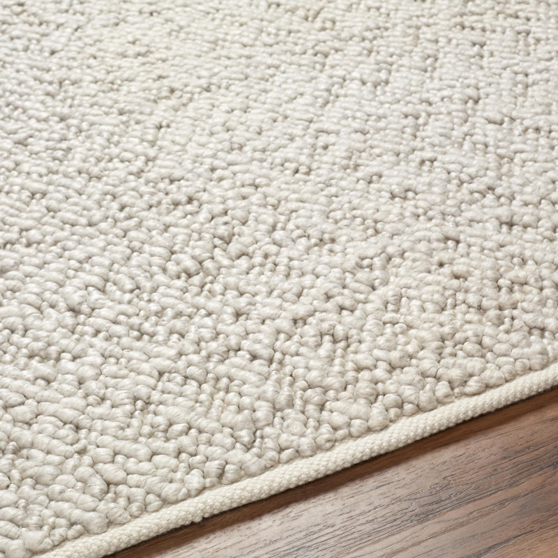Vesta Handmade Hand Woven Light Gray Rug, Rectangle 2' x 3'