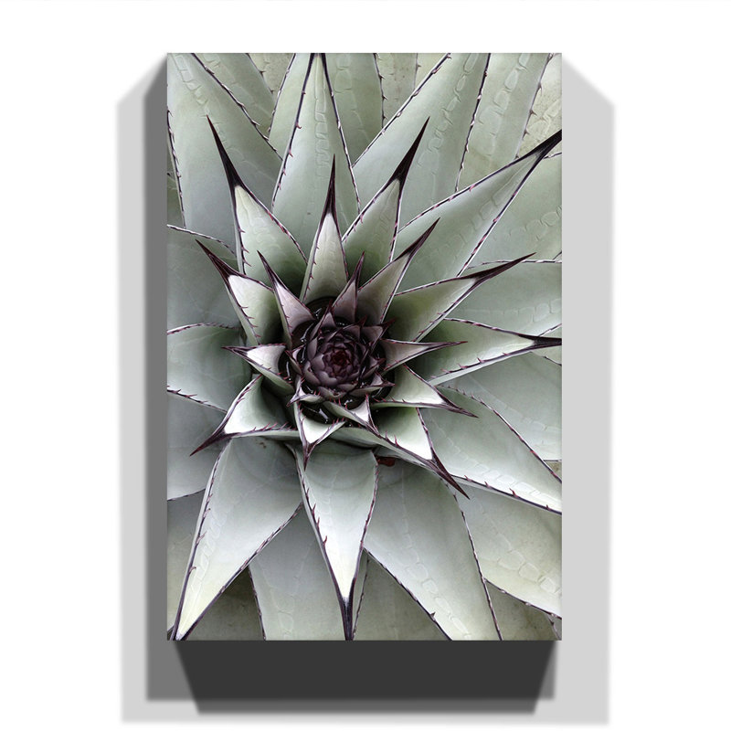 Wrapped Canvas Print, 50cm H x 35cm W