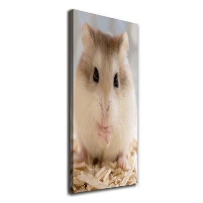 Hamster - Wrapped Canvas Print