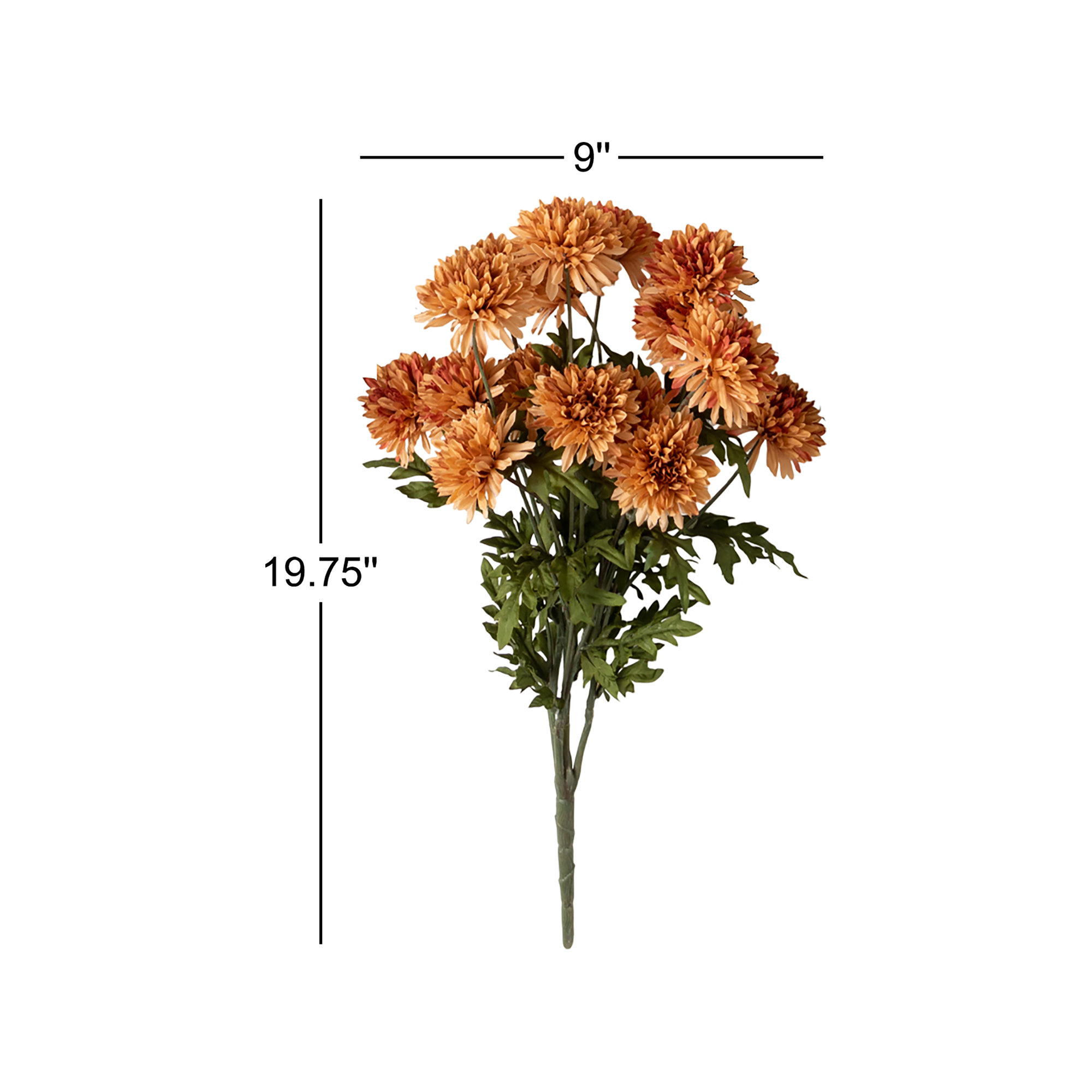 Ouellette Straw Bush