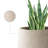 Laihla Pot Planter-1171178249-1171178248