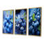 Cianciolo - Ensemble de 3 impressions sur toile de fruits-103010113-103010120