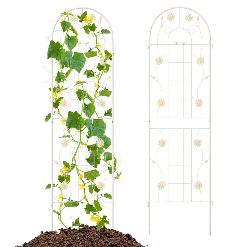 Sorenson 50cm W Metal Arched Trellis, 180cm H x 50cm x 2cm D, White