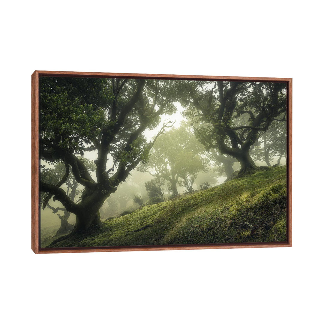 Enchanted Forest by Frans Van Der - Floater Frame Print on Canvas