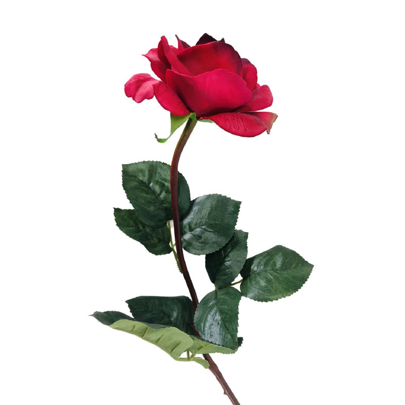 Arrangement floral de roses, Rouge