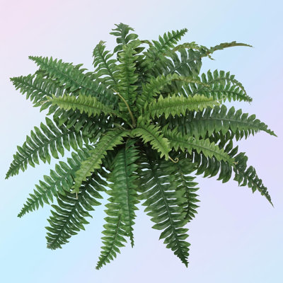 Boîte de 4: plante de fougère Boston avec 49 feuilles de soie, 34 po de largeur, résistant aux rayons UV, fausse verdure par Floral Home®