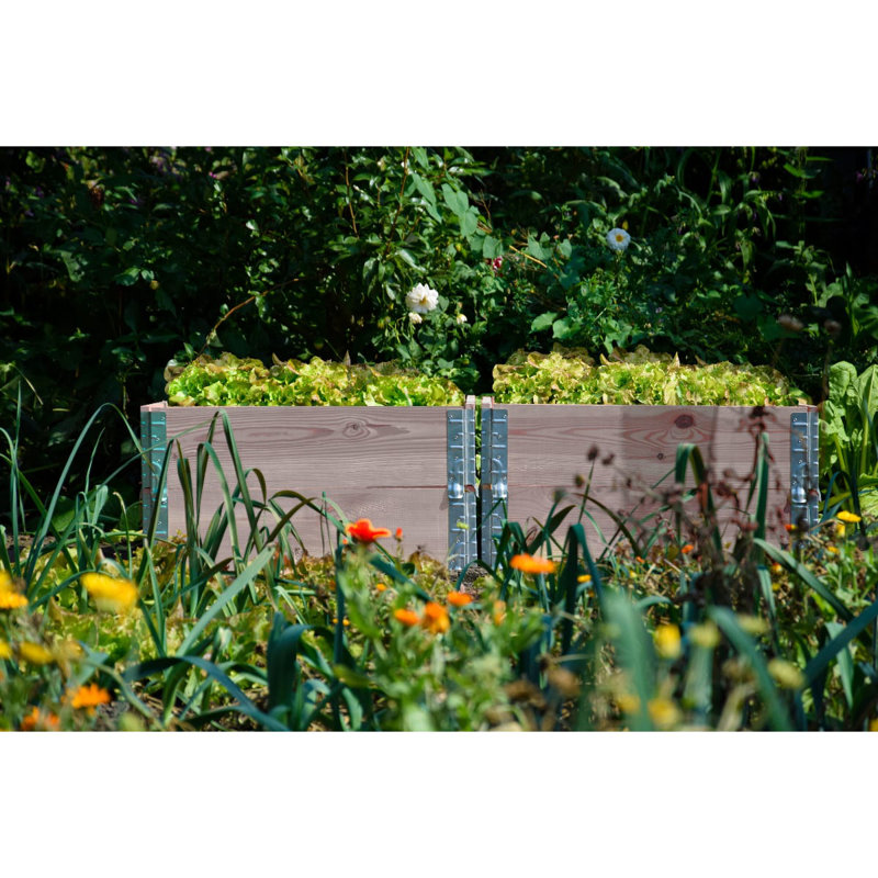 Danyell Wood Raised Garden Bed, Grey