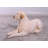Tan Laying Labrador Life Size Statue