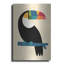 «Rainbow Toucan» par Andy Westface-293592270