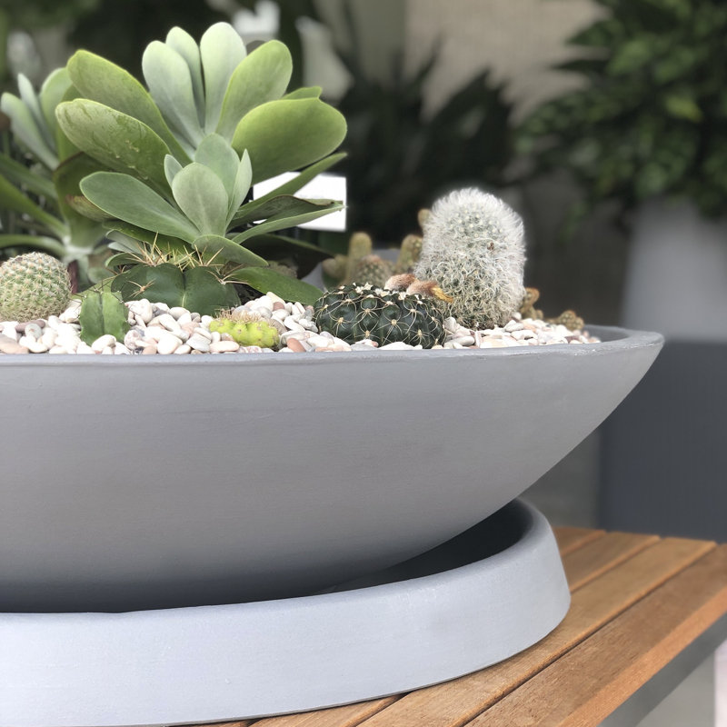 Circular Universal Round Planter Saucer, 2.5" H x 23.5" W x 23.5" D, Ash