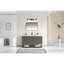 60" Freestanding Standard Bathroom Vanity with Top