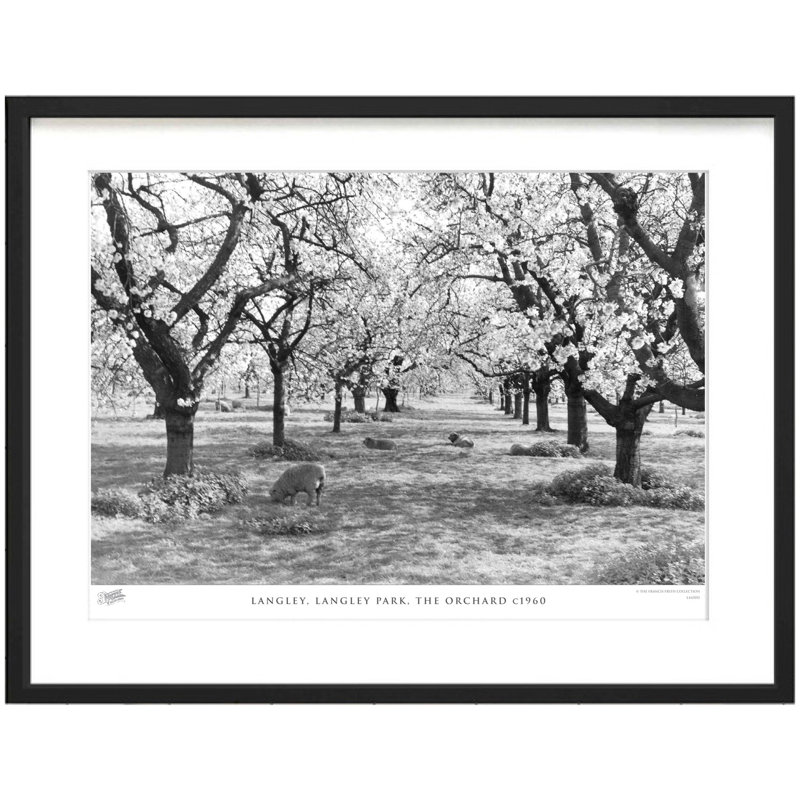Langley, Langley Park, The Orchard C1960 by Francis Frith - Single Picture Frame Print, 28cm H x 36cm W x 2.3cm D