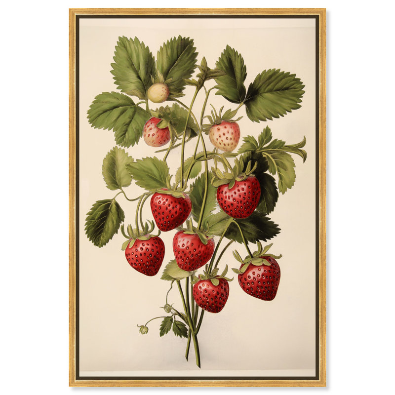 «Strawberry Softness II», reproductions sur toile par Art Remedy, H 37 po x l 25 po, Cadre flottant doré