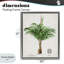 Cadre flottant Natural Palm-1679191785-1679191786
