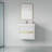 Wall-Mounted Bathroom Vanity with Sink-305852323