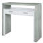 Schenck Computer Desk