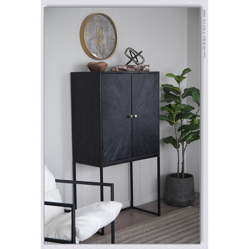 31.5x16.5x60" Cabinet, Black