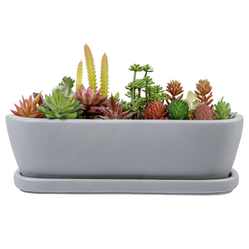 Oval Concrete Decorative Flower Pot Planter