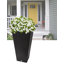 Valencia Planter-1610035897-1610035898