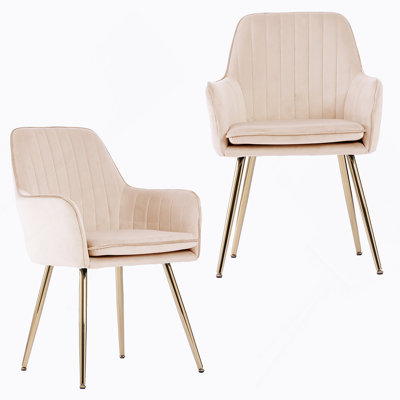 Modern Mid-Back Accent Dining Chair Set Of Two With Gold Plated Legs, Upholstered For Comfort In Various Living Spaces