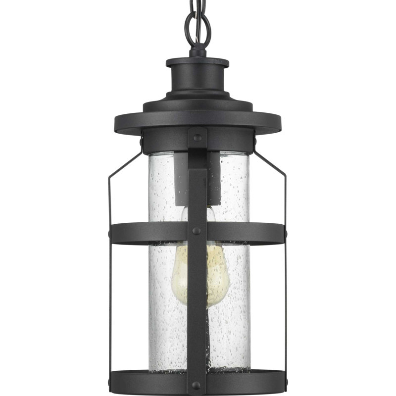 Haslett 1 - Light Outdoor Hanging Lantern, Black