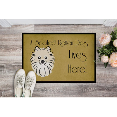 Tapis de porte d’extérieur anti-dérapant pour chien poméranie