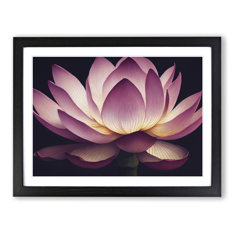Intriguing Lotus Flower - Framed Print, Black, 34cm H x 46cm W x 2cm D