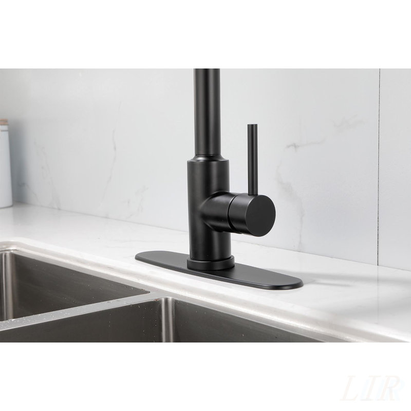 Versatile Kitchen Faucet with Pull-Down Sprayer, High-Arc Design, and Dual Water Settings for Convenience and Efficiency