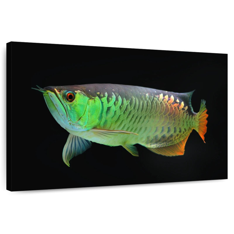 Green Arowana Fish, 34" H x 51" W