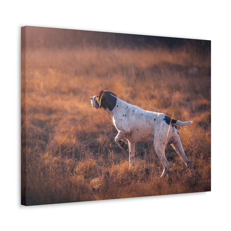 No Frame Print on Canvas, 30.48cm H x 40.64cm W