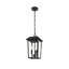 Luminaire suspendu d'extérieur noir 8 x 15 pouces Nilles