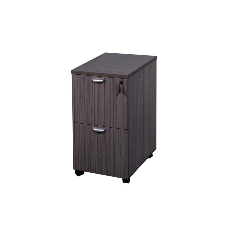 Case Goods 16'' Wide 2 -Drawer Mobile File Cabinet, Driftwood