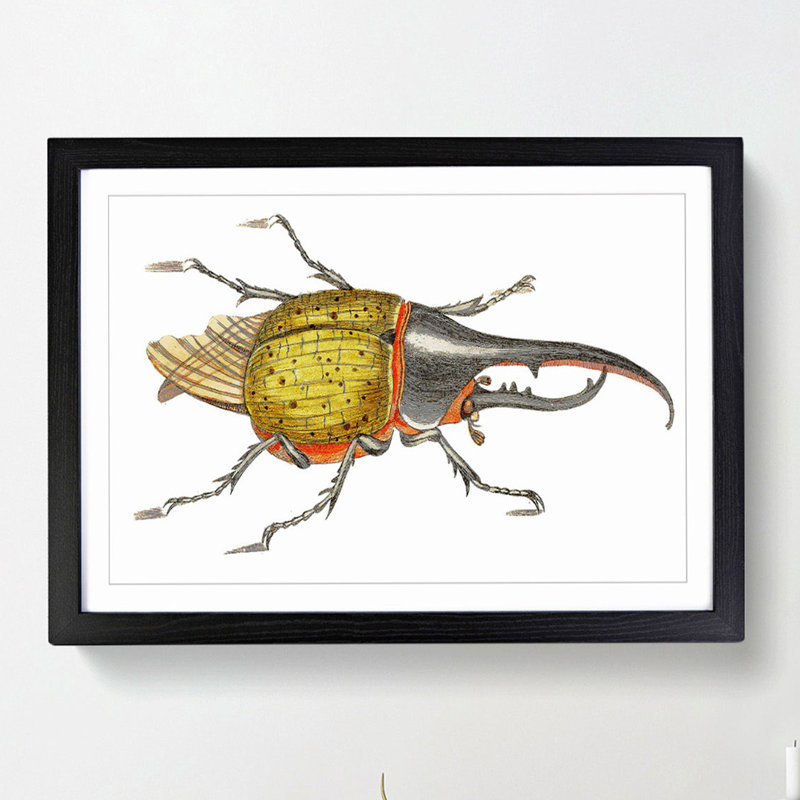 Hercules Beetle by George Shaw - Picture Frame Graphic Art Print, Black Framed, 36cm H x 48cm W x 2cm D