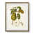 Walnut Framed Paper is unavailable