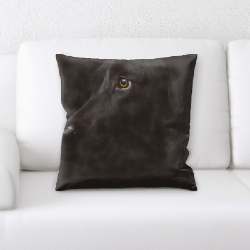 Coussin pour chien