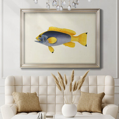 «Tropical Fish Collection V», reproduction sur toile encadrée